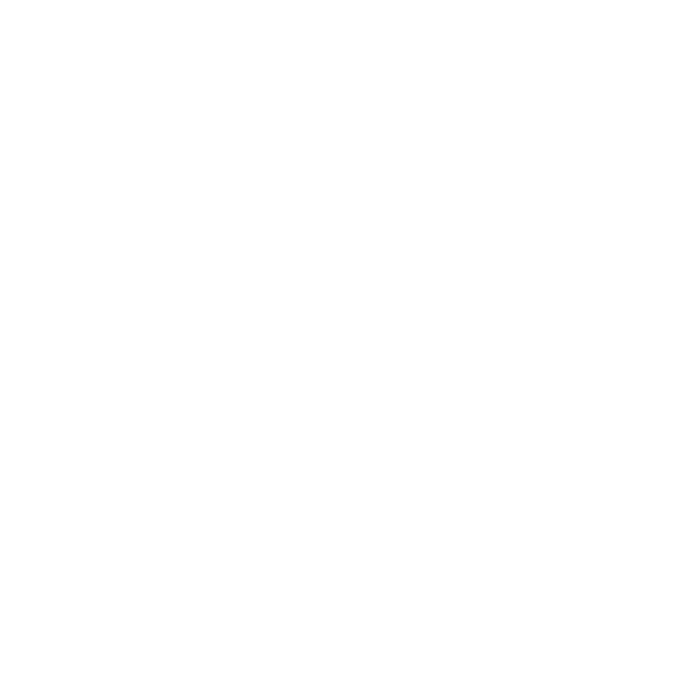 FFi Logo